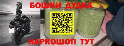 МДПВ Сланцы